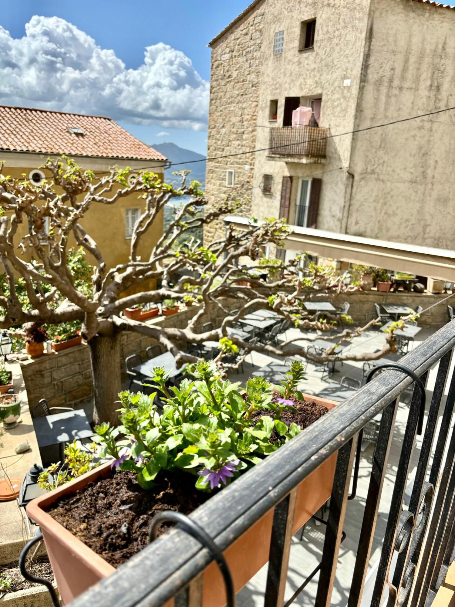 Hoetel U Santa Maria Olmeto (Corsica) Quarto foto