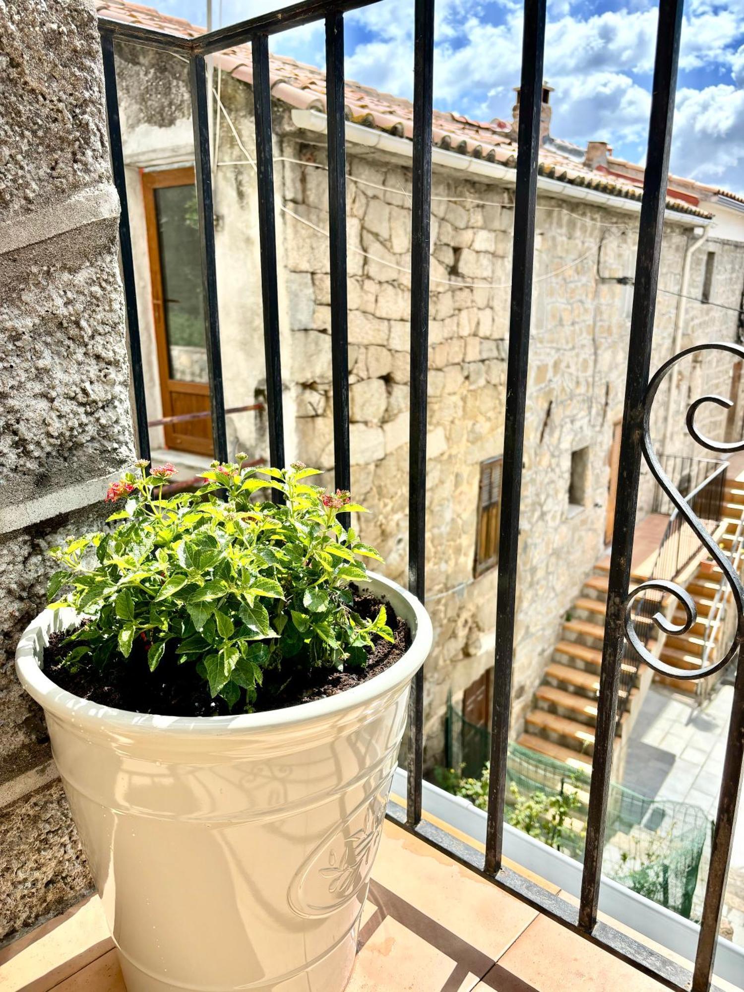 Hoetel U Santa Maria Olmeto (Corsica) Quarto foto