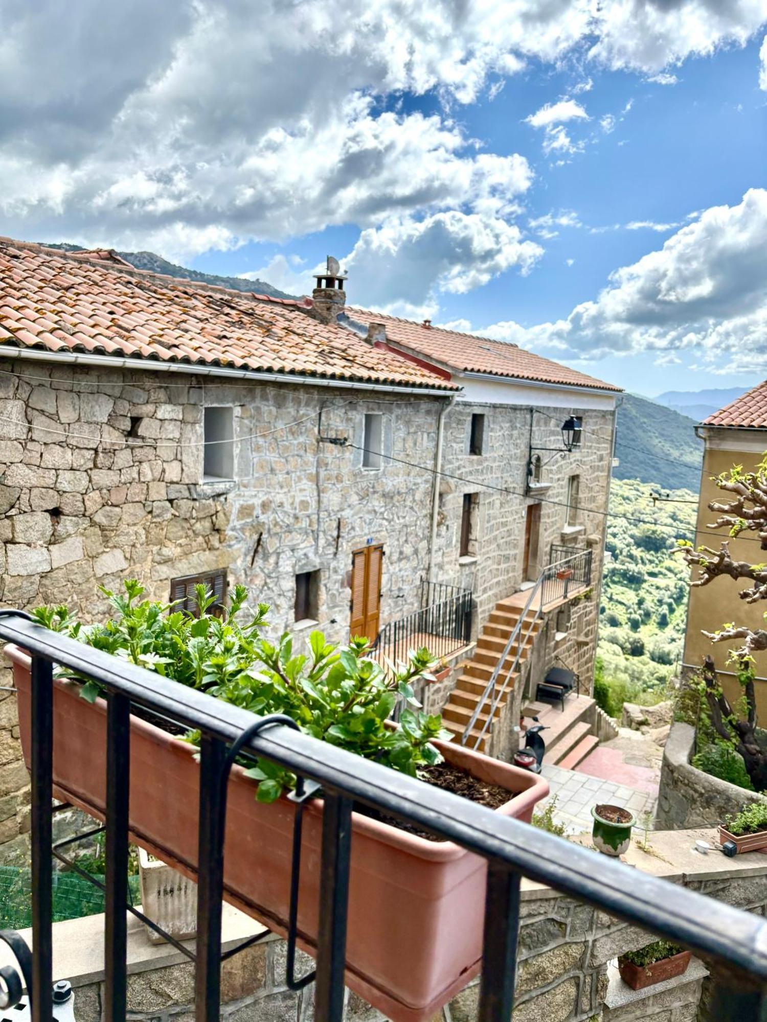 Hoetel U Santa Maria Olmeto (Corsica) Quarto foto