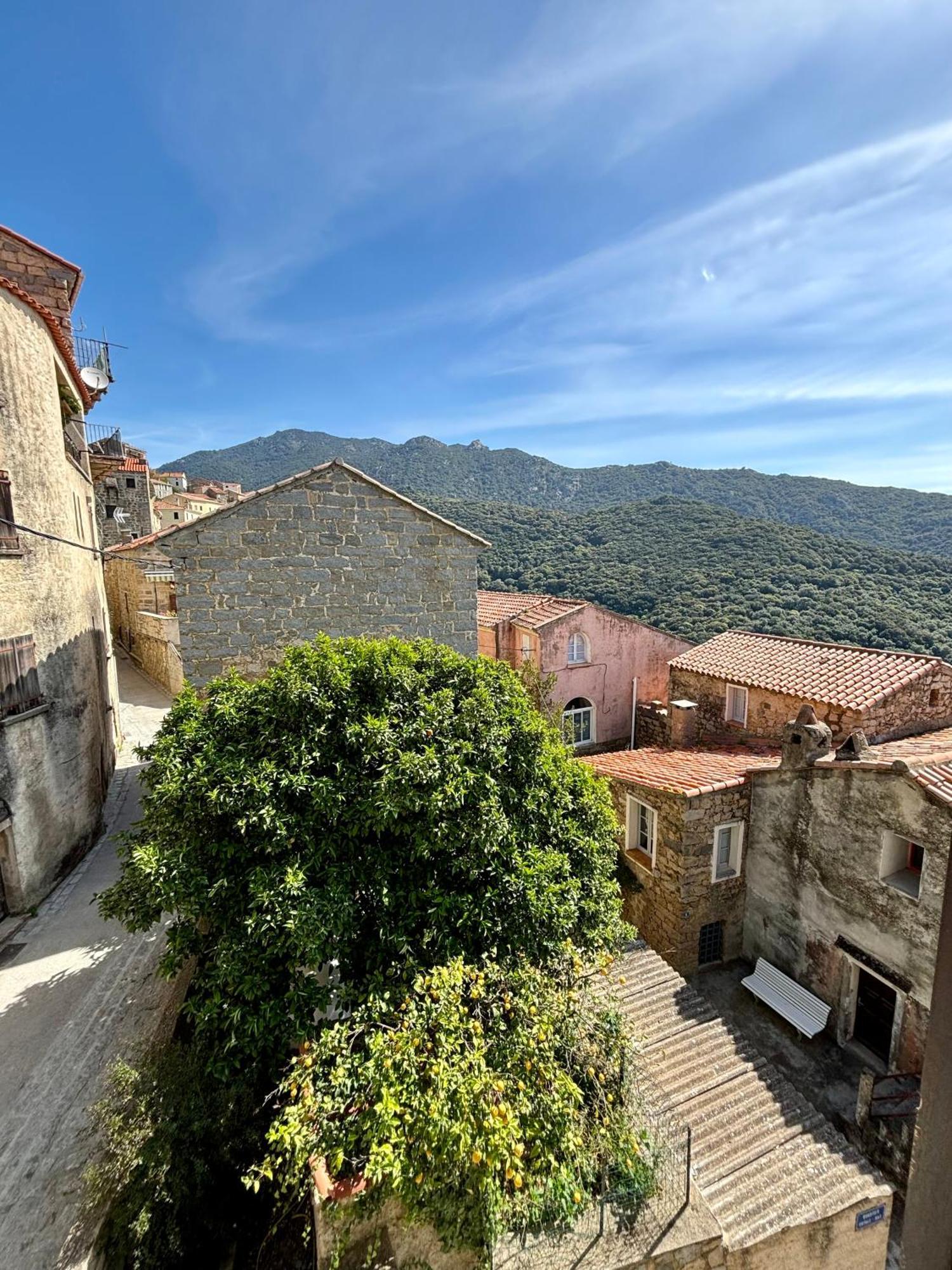 Hoetel U Santa Maria Olmeto (Corsica) Quarto foto